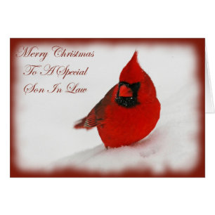 Weihnachten wünscht Kardinals-Schwiegersohn