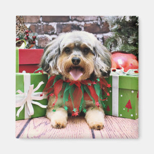 Weihnachten - YorkiPoo - Oliver Magnet