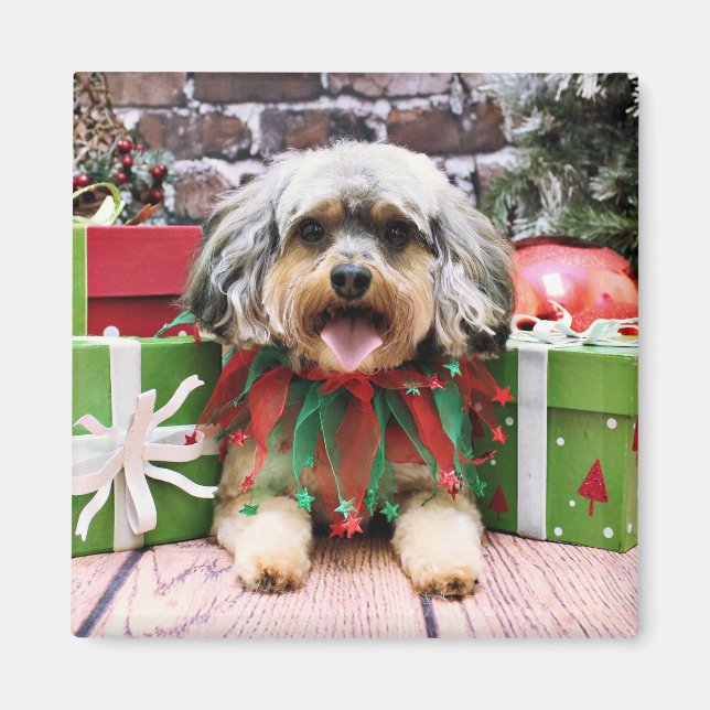 Weihnachten - YorkiPoo - Oliver Magnet (Vorne)