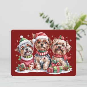 Weihnachten Yorkshire Terrier Hundeliebhaber