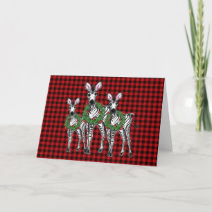 Weihnachten Zebras, roter grüner Kranz