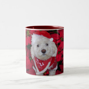 WeihnachtenBichon Frise Hund Zweifarbige Tasse