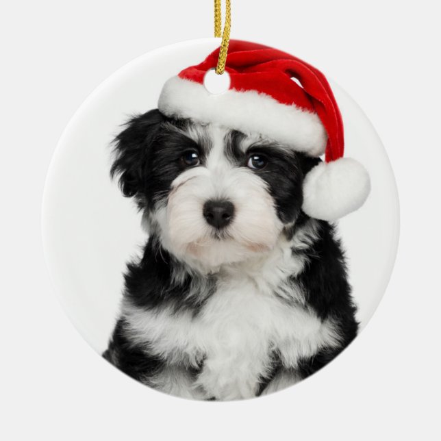 WeihnachtenHavanese Hündchen Keramikornament (Vorne)