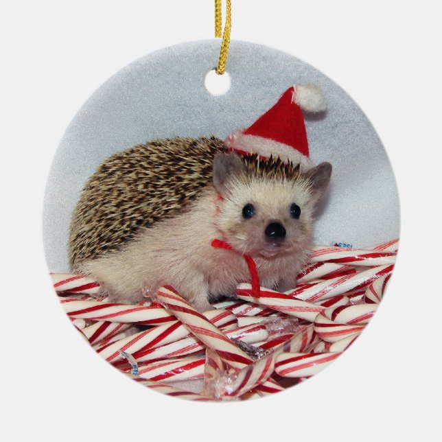 WeihnachtenHedgie Verzierung Keramikornament (Vorne)