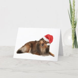 WeihnachtenSheltie Hund Feiertagskarte