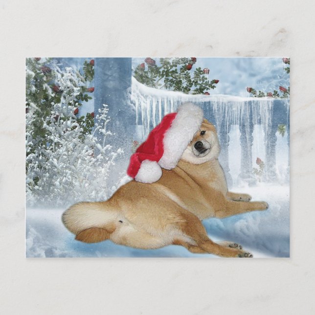 WeihnachtenShiba Inu Postkarte (Vorderseite)