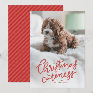 Weihnachtliche Kuteness süße Tier Urlaubskarte Feiertagskarte