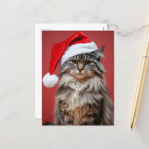 Weihnachtliche Maine Coon-Katze in Santa-Mütze zu  Feiertagspostkarte