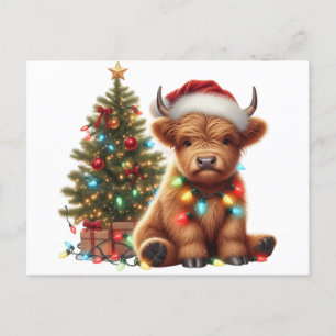 Weihnachtliches Hochlandrind Postkarte