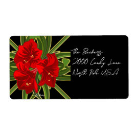Weihnachts-Amaryllis-Garten Vibrant