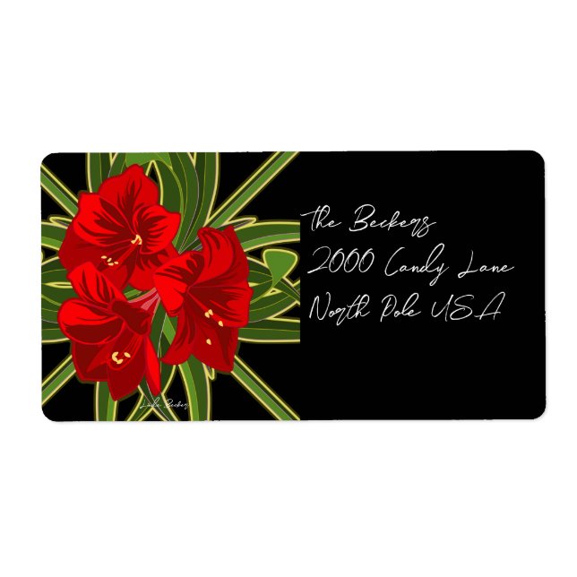 Weihnachts-Amaryllis-Garten Vibrant  (Vorne)