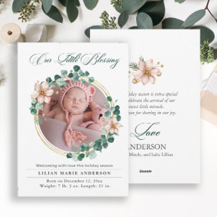 Weihnachts-Baby-Eukalyptus-Weihnachtsstern-Foto Feiertagskarte