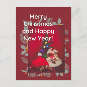 Weihnachts-Baby Sulcata Tortoise in rotem Hut Postkarte