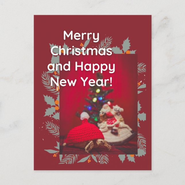 Weihnachts-Baby Sulcata Tortoise in rotem Hut Postkarte (Vorderseite)