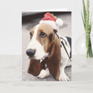 Weihnachts-Basset-Weihnachtsmannmütze-Grußkarte Feiertagskarte