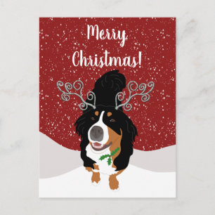 Weihnachts-Berg-Hunde-Geschenkkarte Postkarte
