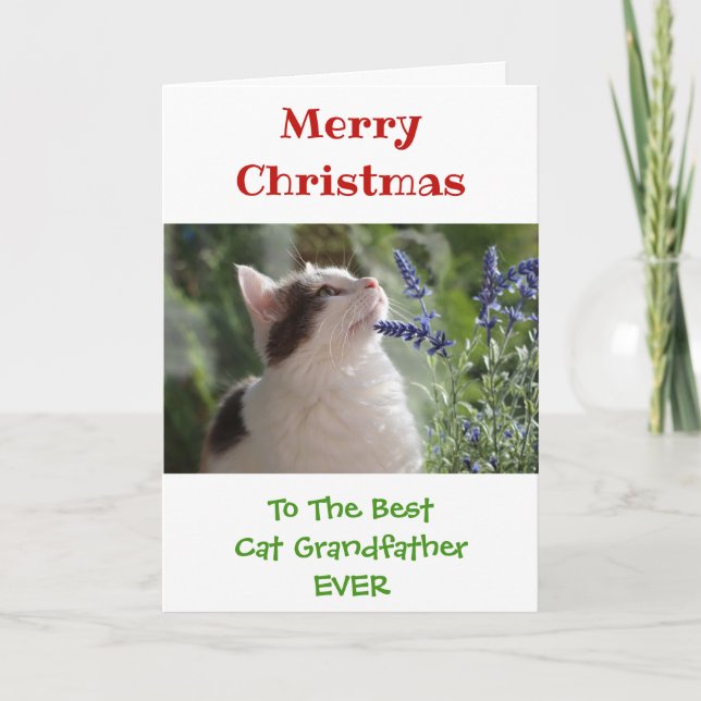 Weihnachts Beste Katze Großvater je Foto Karte (Vorderseite)