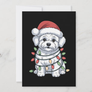 Weihnachts-Bichon Frise-Hund mit Santa-Hut und Xma Einladung