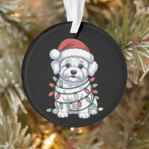 Weihnachts-Bichon Frise-Hund mit Santa-Hut und Xma Ornament