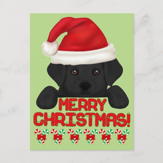 Weihnachts Black Labrador Welpe! Feiertagspostkarte (Vorderseite)