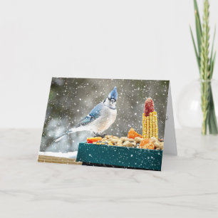 Weihnachts-Blauhäher-Weihnachtskarte Feiertagskarte