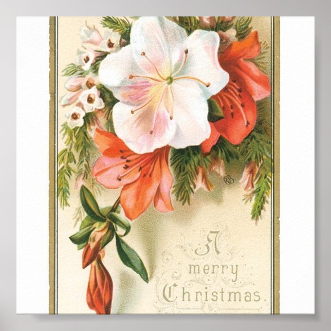 Weihnachts-Blume Poster (Vorne)
