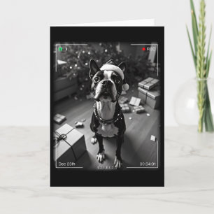 Weihnachts-Boston-Terrier auf Kamera erwischt Karte