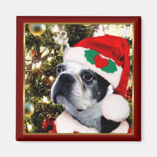 Weihnachts-Boston-Terrier Magnet