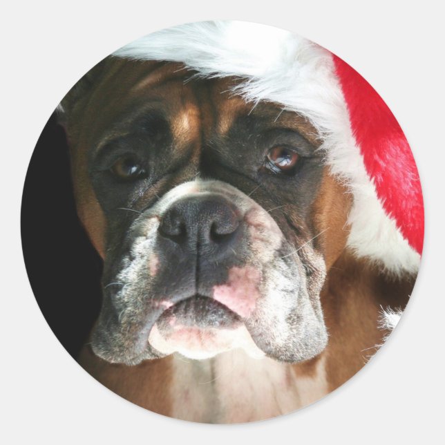Weihnachts-Boxer-Dog-Aufkleber Runder Aufkleber (Vorderseite)