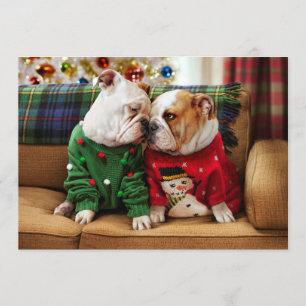 Weihnachts-Bullen in Pullovern Einladung