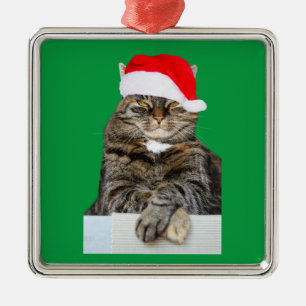 Weihnachts Cat Humbug Foto Premium Platz Ornament Aus Metall