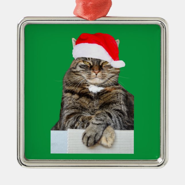Weihnachts Cat Humbug Foto Premium Platz Ornament Aus Metall (Vorne)