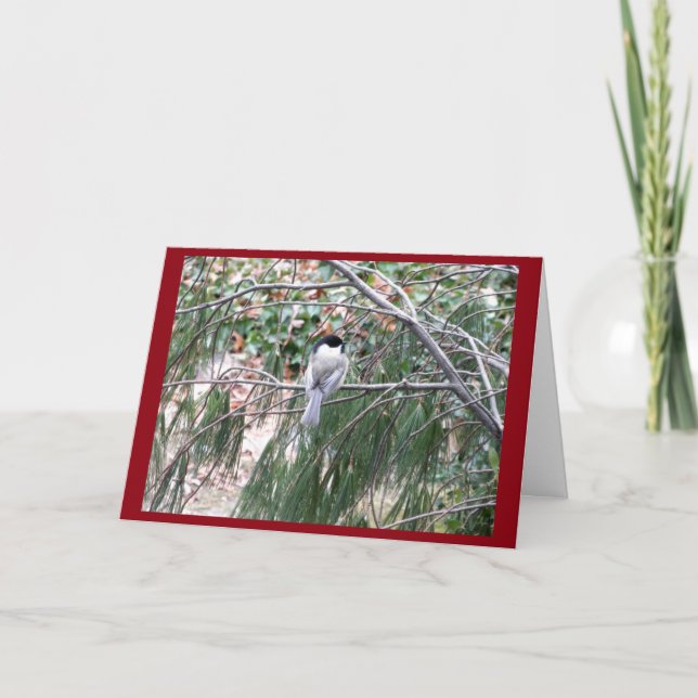 Weihnachts-Chickadekarte Feiertagskarte (Vorderseite)