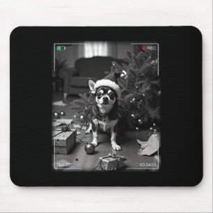 Weihnachts-Chihuahua auf Kamera erwischt Mousepad