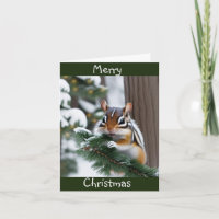 Weihnachts-Chipmunk