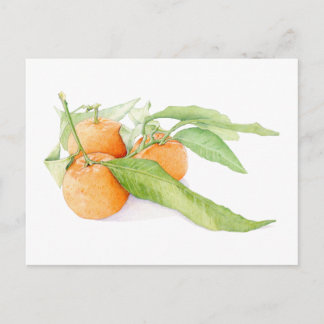 Weihnachts-Clementinen Postkarte