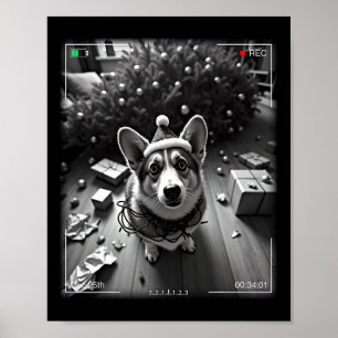 Weihnachts-Corgi auf Kamera erwischt Poster