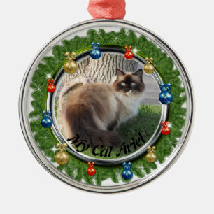 Weihnachts Custom Pet Ornamente Kleider Hintergrun