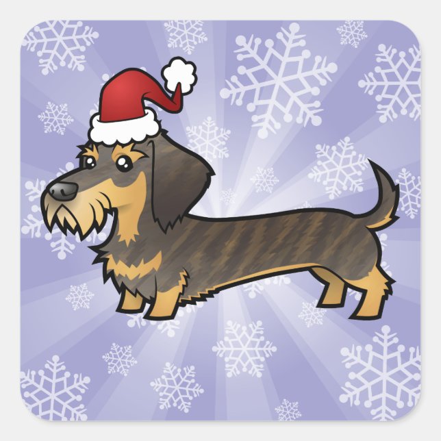Weihnachts-Dackel (Drahthaarterrier) Quadratischer Aufkleber (Vorderseite)