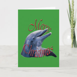 Weihnachts-Dolphin-Grußkarte Feiertagskarte