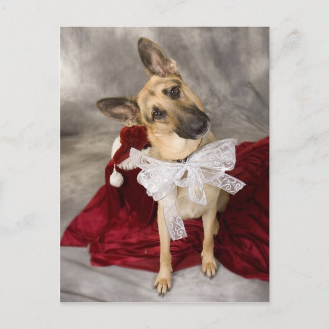 Weihnachts-Elsass Feiertagspostkarte (Vorderseite)