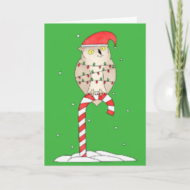 Weihnachts-Eule Niedlich Lustig Feiertagskarte