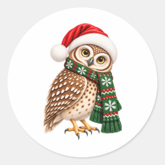 Weihnachts-Eulen-Aufkleber Runder Aufkleber