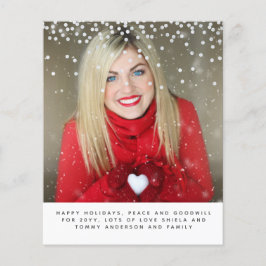 Weihnachts-FOTO-Haushaltsjahr - Überprüfungsschrei