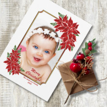 Weihnachts-Fotokarte Rote Poinsettia Weiße Grenze