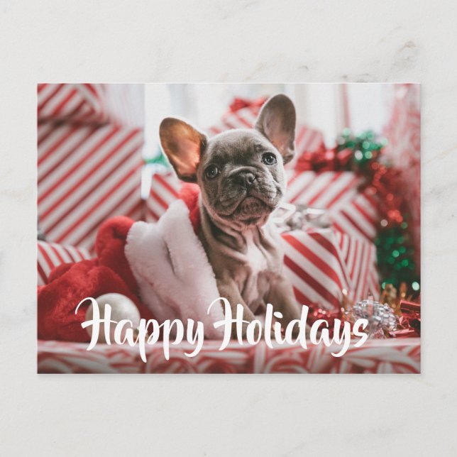 Weihnachts Französischer Bulldog unter Weihnachtsg Feiertagspostkarte (Vorderseite)