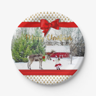Weihnachts-Freude und Foto Pappteller