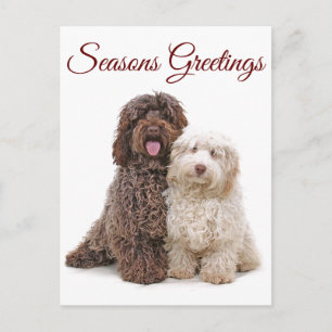Weihnachts-Frohe Festtage Labradoodle Friends Postkarte
