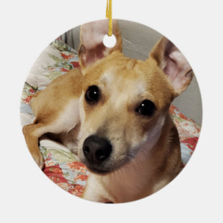 Weihnachts Funny Pet Foto Keramik Ornament
