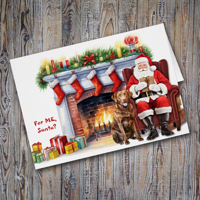 Weihnachts Geschenk Chesapeake Bay Retriever Dog H (Von Creator hochgeladen)